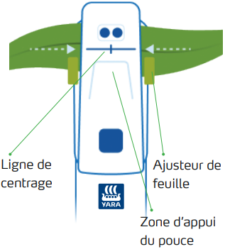 Measure_head_FR.png